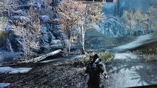 Illustration for article titled Skyrim Modders Help Man Who Says He's Mourning His Brother